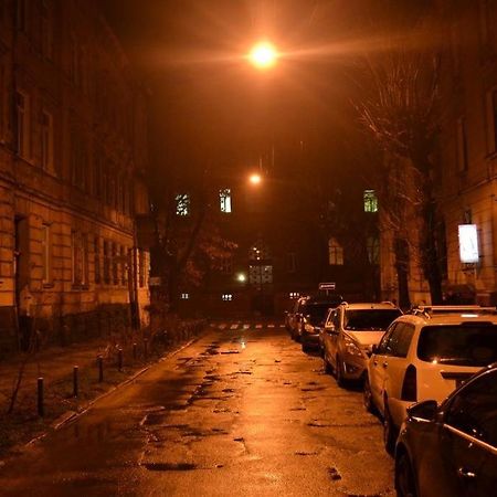 Cozy apartment Lviv Kültér fotó