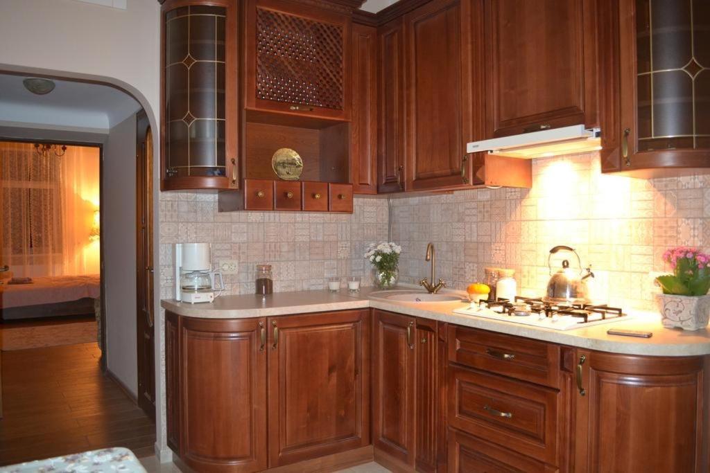 Cozy apartment Lviv Kültér fotó